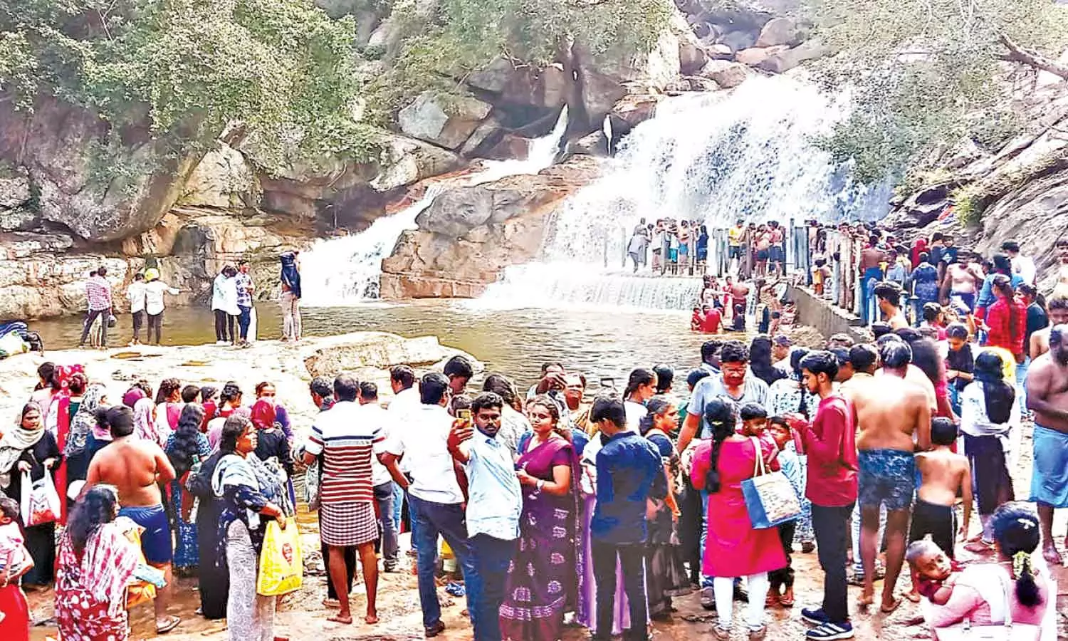 உடுமலை பஞ்சலிங்க அருவியில் சுற்றுலா பயணிகள் குவிந்தனர் உடுமலை பஞ்சலிங்க அருவியில் சுற்றுலா பயணிகள் குவிந்தனர்