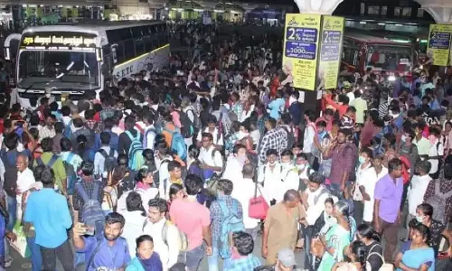 பொங்கலை முன்னிட்டு சிறப்பு பேருந்துகளில் 8.73 லட்சம் பேர் பயணம்