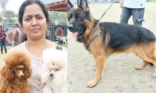 சென்னையில் நாய் கண்காட்சி