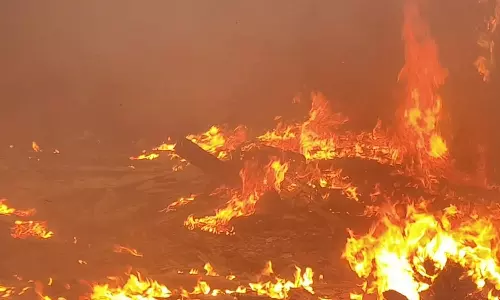 பீரோ தயாரிக்கும் கம்பெனியில் தீ விபத்து- பல லட்சம் ரூபாய் மதிப்பிலான பொருட்கள் சேதம்