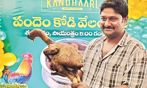 கோழி சண்டையில் தோற்றுப்போன சேவலின் கறி ரூ.1 லட்சத்துக்கு ஏலம்- உரிமையாளரின் கோபம் லாபமானது