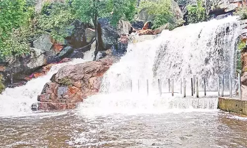 பஞ்சலிங்க அருவியில் குளிக்க தடை- சுற்றுலா பயணிகள் ஏமாற்றம்