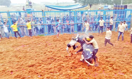 மணிகண்டம் அருகே ஜல்லிக்கட்டு: பள்ளபட்டி கிராமத்தில் சீறிப்பாய்ந்த 800 காளைகள்