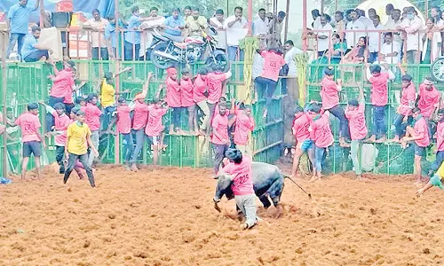 முக்காணிப்பட்டியில் ஜல்லிக்கட்டு கோலாகலம்: 600 காளைகள், 300 வீரர்கள் பங்கேற்பு