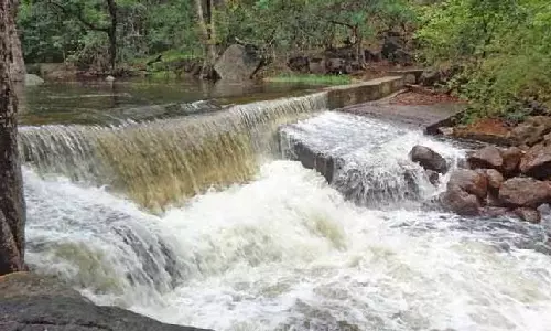 நெல்லை, தென்காசி, தூத்துக்குடி மாவட்டங்களில் கனமழை: தலையணை அருவியில் குளிக்க தடை