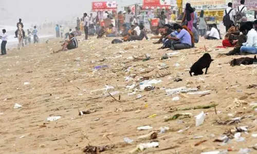 மெரினா கடற்கரையில் குப்பைகளை வீசி செல்பவர்களுக்கு உடனடி அபராதம்- பசுமை தீர்ப்பாயம் அறிவுறுத்தல்