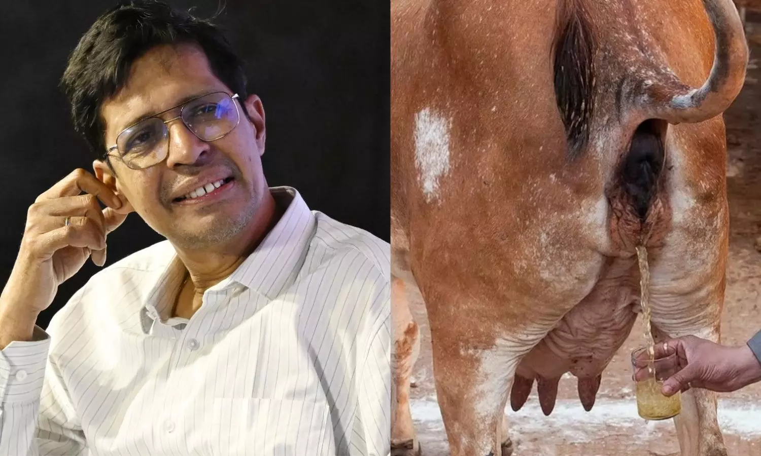 கோமியத்தின் சக்தி அறிவியல் பூர்வமானது.. என்னிடம் ஆதாரம் உள்ளது - ஐஐடி இயக்குநர் காமகோடி