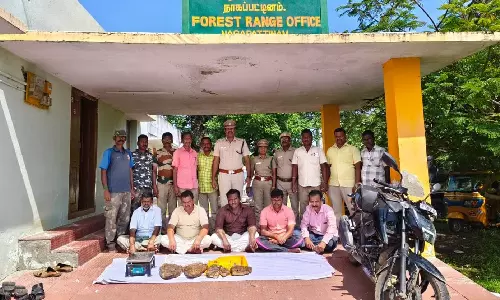 திமிங்கல உமிழ்நீர் பதுக்கி விற்பனை: 5 பேர் கைது