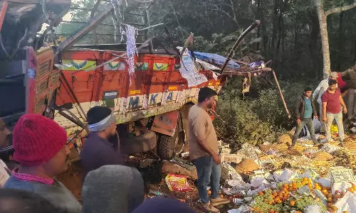 கர்நாடகாவில் காய்கறி லாரி கவிழ்ந்து 9 வியாபாரிகள் பலி