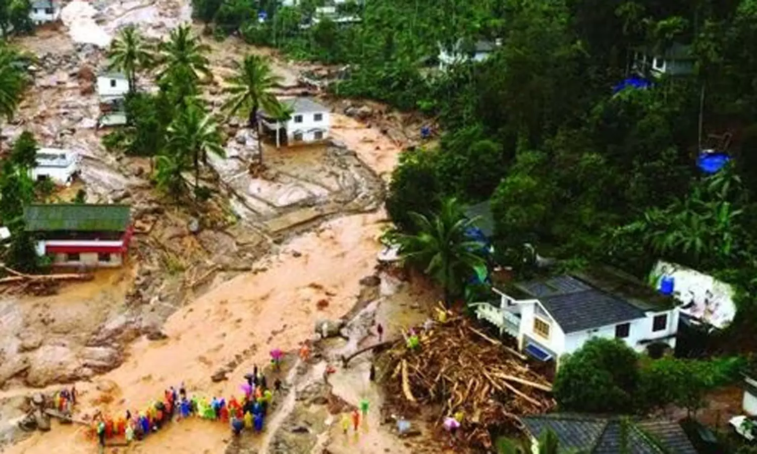 வயநாடு நிலச்சரிவில் காணாமல் போன 32 பேர் உயிரிழந்து விட்டனர்- மாவட்ட பேரிடர் ஆணையம் அறிக்கை வயநாடு நிலச்சரிவில் காணாமல் போன 32 பேர் உயிரிழந்து விட்டனர்- மாவட்ட பேரிடர் ஆணையம் அறிக்கை