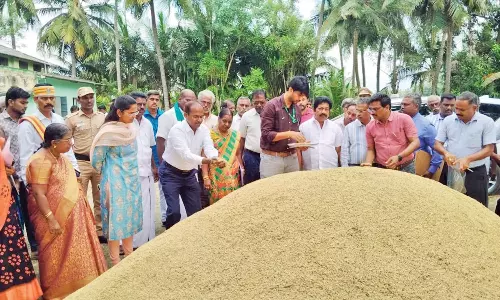 டெல்டாவில் 2-வது நாளாக மத்திய குழுவினர் ஆய்வு