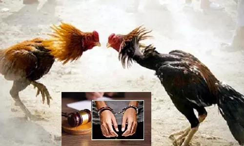 சேவல் வைத்து மெகா சூதாட்டம் நடத்திய 20 பேர் கொண்ட கும்பல் கைது