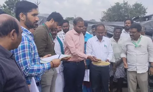 காட்டுமன்னார்கோவிலில் மத்திய குழுவினர் ஆய்வு- விரைவில் இழப்பீடு வழங்க விவசாயிகள் வலியுறுத்தல்