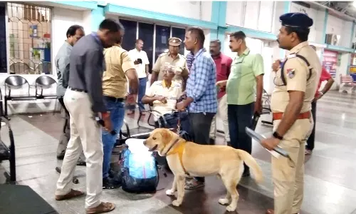 நெல்லை ரெயில் நிலையத்திற்கு வெடிகுண்டு மிரட்டல்- போலீசார் அதிரடி சோதனை