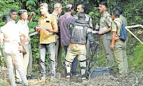 10 ஆண்டுகளில் 8 பேர் உயிரிழப்பு- பொதுமக்களை அச்சுறுத்தும் புலியை சுட்டுப் பிடிக்க வனத்துறை உத்தரவு