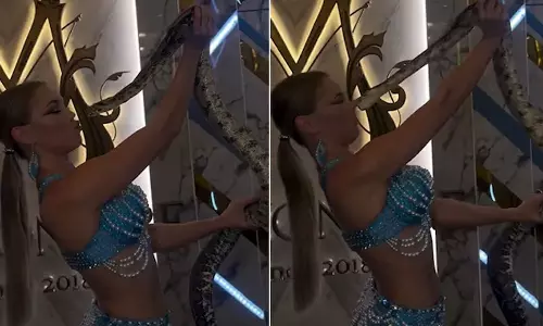 போஸ் கொடுக்க ஆசைப்பட்டு பாம்பிடம் கடி வாங்கிய இளம்பெண்