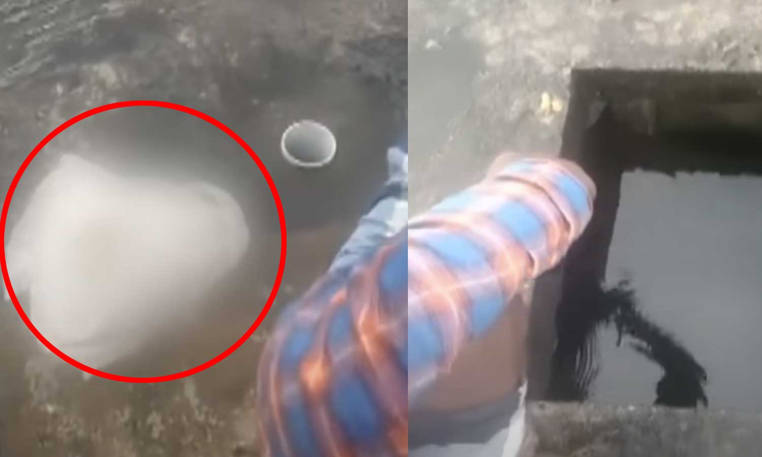 வேங்கைவயல் குடிநீர் தொட்டியில் 'மலம்' பையுடன் 2 பேர்... வெளியான அதிர்ச்சி வீடியோ, ஆடியோ