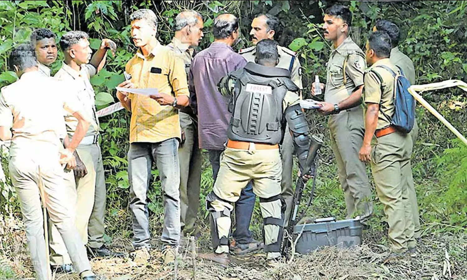 10 ஆண்டுகளில் 8 பேர் உயிரிழப்பு- பொதுமக்களை அச்சுறுத்தும் புலியை சுட்டுப் பிடிக்க வனத்துறை உத்தரவு