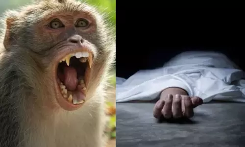 வீட்டின் மாடியில் படித்துக்கொண்டிருந்த சிறுமியை கீழே தள்ளிவிட்டுக் கொன்ற குரங்குகள்