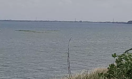 இந்த ஆண்டில் முதல் முறையாக வீராணம் ஏரி முழு கொள்ளளவை எட்டியது