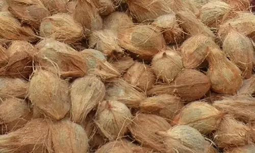 தேங்காய் விலை கடும் உயர்வு - கிலோ ரூ.80-க்கு விற்பனை