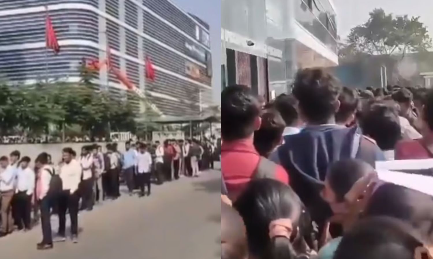 VIDEO: 100 காலியிடங்கள்.. ஐடி நிறுவன வசாலில் வேலைக்காக காத்துக்கிடந்த 3000 இன்ஜினீயரிங் பட்டதாரிகள்