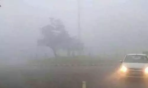 சென்னையில் கடும் பனிப்பொழிவு- ரெயில்கள் தாமதம்