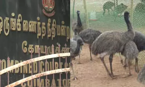 ஈமு பண்ணை மேலாண் இயக்குநருக்கு 10 ஆண்டுகள் சிறை, 19 கோடி அபராதம்- நீதிமன்றம் உத்தரவு
