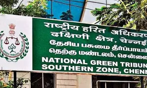 காணும் பொங்கல் அன்று மெரினாவில் குப்பை போடுவது நம் கலாச்சாரம் இல்லை- பசுமை தீர்ப்பாயம் கருத்து