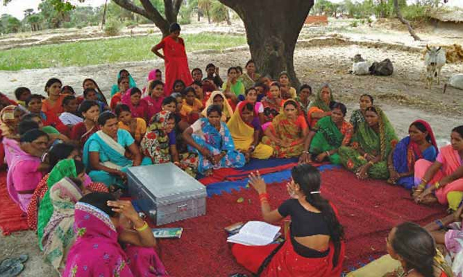 பட்ஜெட் 2025-26: மருத்துவ துறையிலும் முத்ரா கடன், சுய உதவிக்குழுக்களுக்கு கிரெடிட் கார்டு