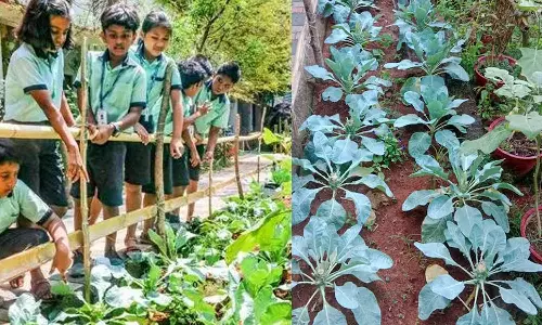 அரசு பள்ளியில் குழந்தைகள் பராமரித்த தோட்டத்தில் விளைந்த காய்கறிகளை திருடிச்சென்ற மர்மநபர்கள்