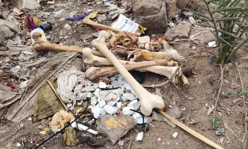 சாலை ஓரத்தில் கிடந்த எலும்புக்கூடுகள்-எலுமிச்சம் பழம்: பொதுமக்கள் பீதி