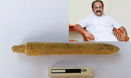 எலும்பு முனைக் கருவி கண்டுபிடிப்பு: அமைச்சர் தகவல்