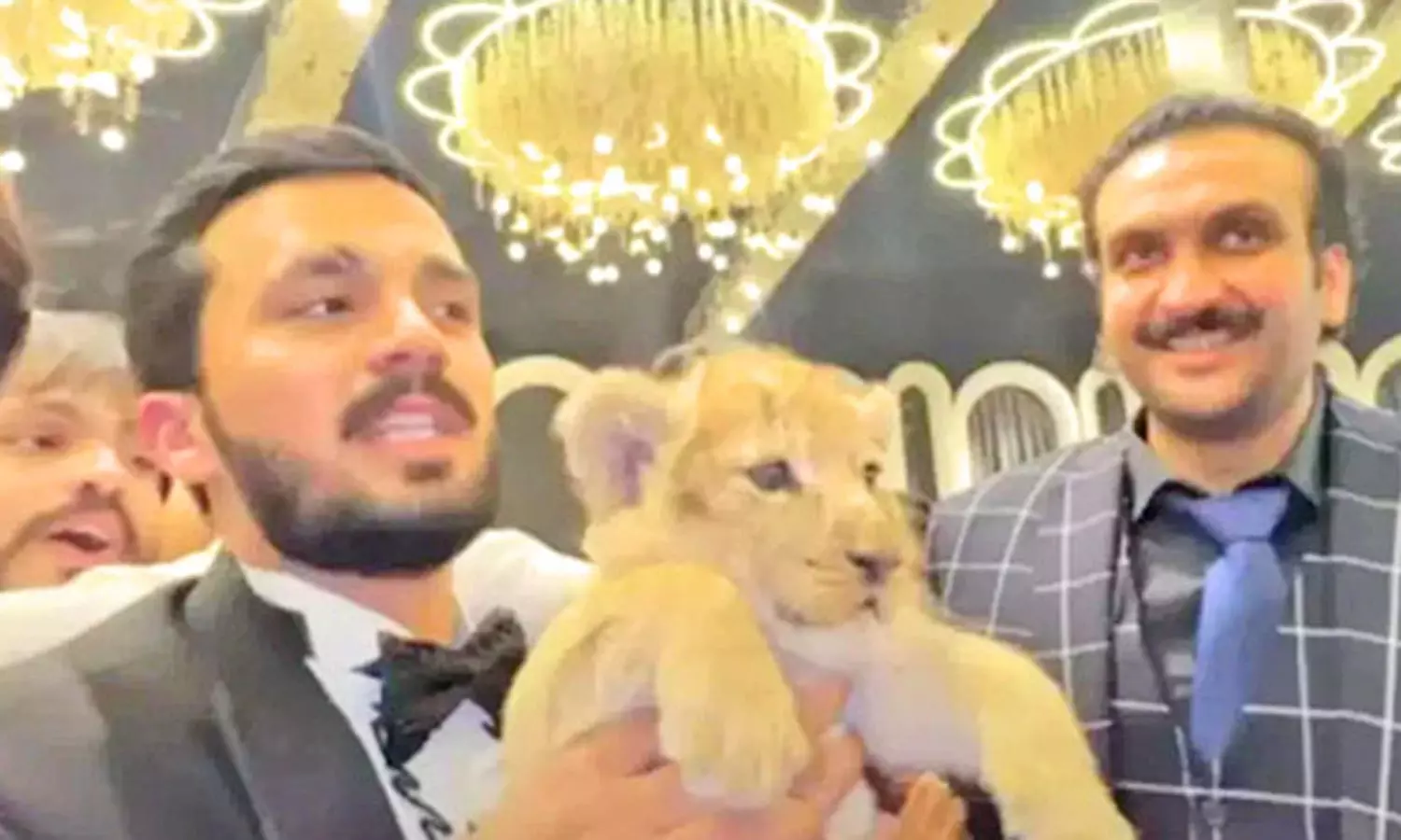 நண்பருக்கு சிங்கக்குட்டியை பரிசளித்த யூ-டியூபர் நண்பருக்கு சிங்கக்குட்டியை பரிசளித்த யூ-டியூபர்