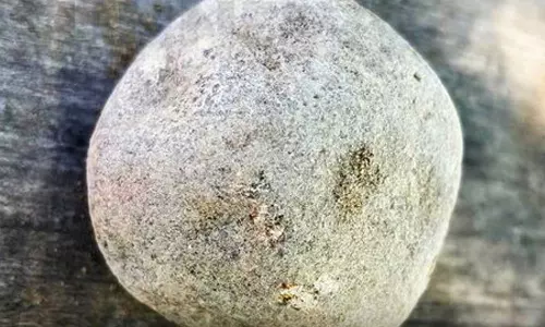 விஜயகரிசல்குளம் அகழாய்வில் ஆபரணங்கள் மெருகேற்றும் கல் கண்டெடுப்பு