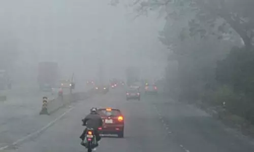 தமிழ்நாட்டில் 2 வாரங்களுக்கு பனிமூட்டம் காணப்படும்- வானிலை ஆய்வாளர்கள் தகவல்