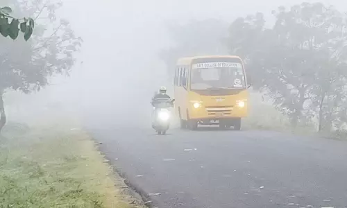 தமிழகத்தில் ஓரிரு இடங்களில் மிதமான பனிமூட்டத்திற்கு வாய்ப்பு- வானிலை ஆய்வு மையம் தகவல்