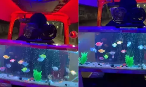 மீன்தொட்டி- டிஸ்கோ விளக்கு அலங்காரத்தால் ஜொலித்த ஆட்டோ- வீடியோ