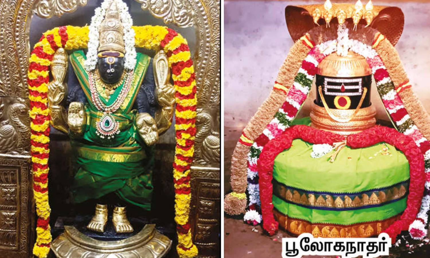 சகல தோஷங்களை நீக்கும் `பூலோகநாதர் சகல தோஷங்களை நீக்கும் `பூலோகநாதர்