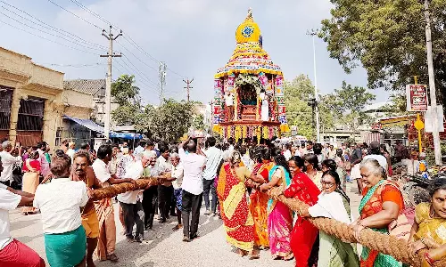 திருப்பரங்குன்றத்தில் இன்று தெப்பத்திருவிழா தேரோட்டம்: திரளான பக்தர்கள் பங்கேற்பு