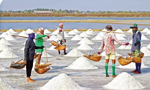 வறுத்த உப்பு நல்லது!