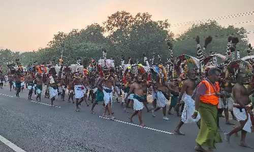 பழனி தைப்பூசத்திருவிழா: வைரவேலுடன் பாதயாத்திரையாக சென்ற நகரத்தார் காவடி