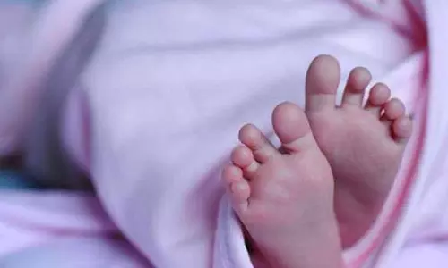 அதிக குழந்தை பிறக்கும் மாதம்