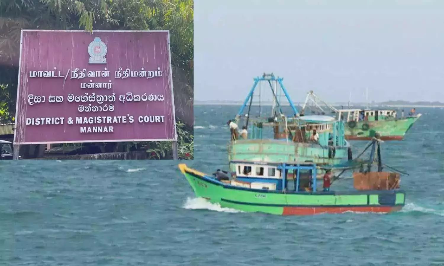 ராமேஸ்வரம் மீனவர்கள் 13 பேர் விடுதலை- மன்னார் நீதிமன்றம் உத்தரவு