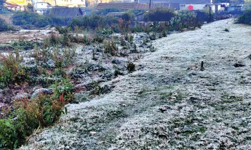 ஊட்டியில் ஒரு மாதத்துக்கு பிறகு மீண்டும் கொட்டும் உறைபனி- பொதுமக்கள் அவதி