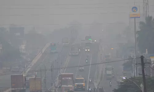 சேலத்தில் பகலில் வெயில் - இரவில் கடும் பனி: மக்கள் தவிப்பு