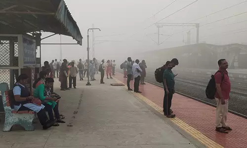 கும்மிடிப்பூண்டியில் கடும் பனிப்பொழிவு