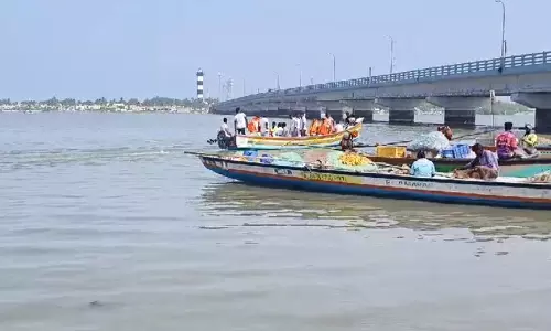 ஆமைகளை பாதுகாக்க விழிப்புணர்வு பேரணி