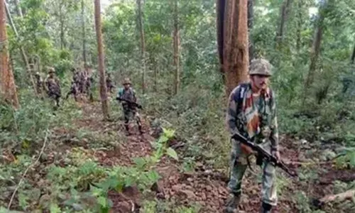 சத்தீஸ்கரில் 12 நக்சலைட்டுகள் சுட்டுக்கொலை