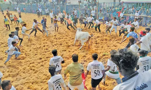 மணப்பாறை அருகே பி.புதுப்பட்டியில் ஜல்லிக்கட்டு போட்டியில் சீறிப்பாய்ந்த 600 காளைகள்